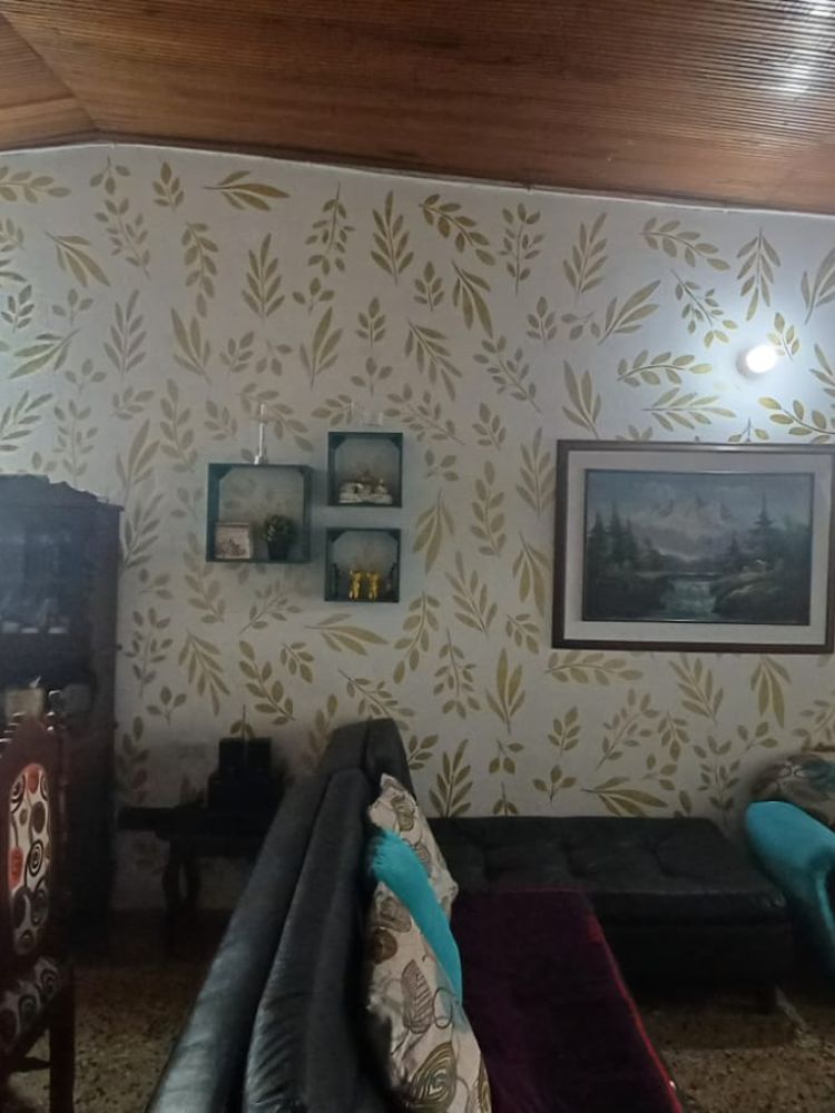 Mural de Andreaa colección Botánico
